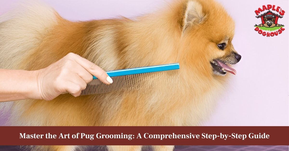 how to groom your pugs